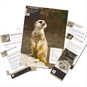 Adopt a Meerkat